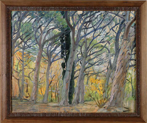 Мызников Геннадий Сергеевич. Крымские сосны